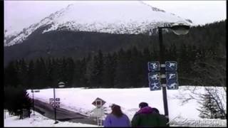 Verifique a sua idade