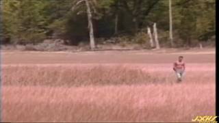 Verifique a sua idade