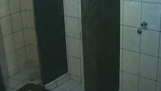 Verifique a sua idade