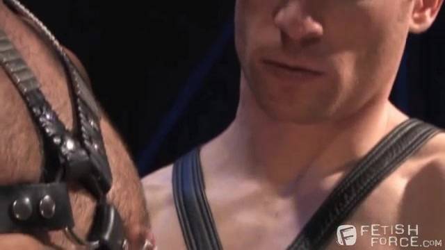 Verifique a sua idade