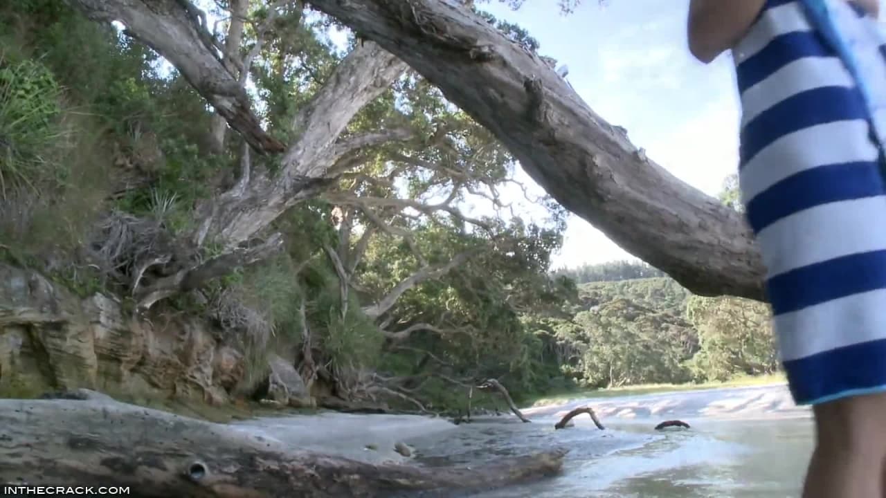 Verifique a sua idade