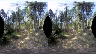 Verifique a sua idade