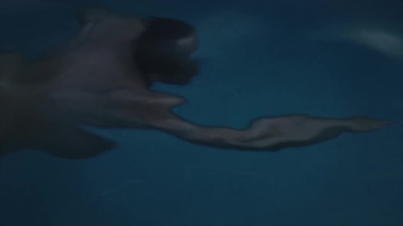 Verifique a sua idade