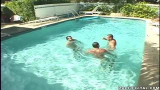 Verifique a sua idade