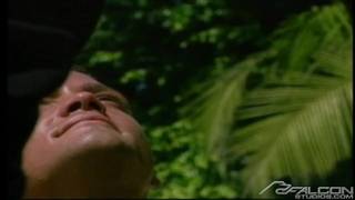 Verifique a sua idade