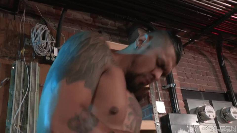 Verifique a sua idade