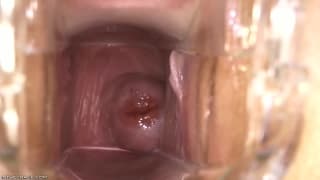 Vamos ver a buceta dessa puta bem aberta