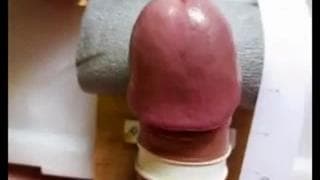 Ferramenta caseira para masturbação!