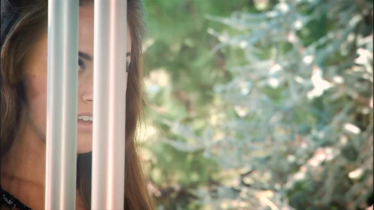 Verifique a sua idade