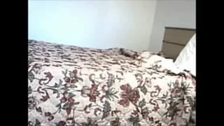 Verifique a sua idade