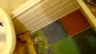 Verifique a sua idade