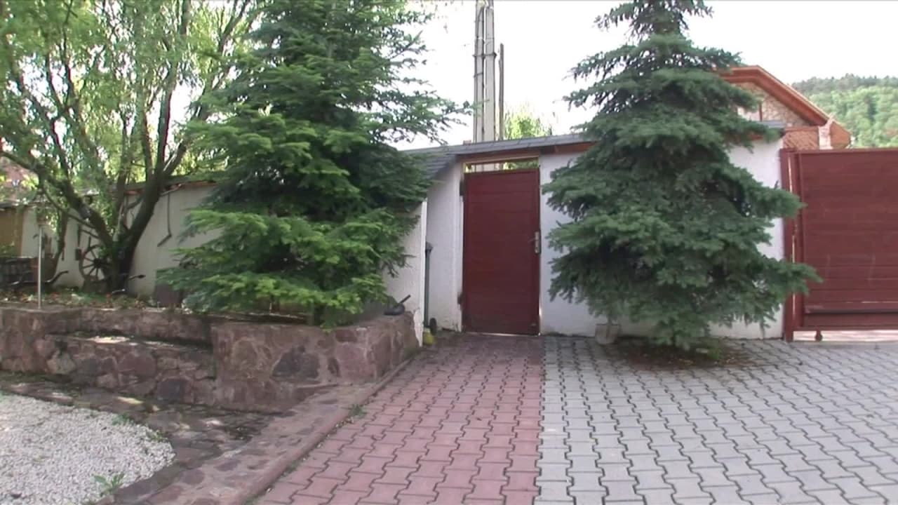 Verifique a sua idade