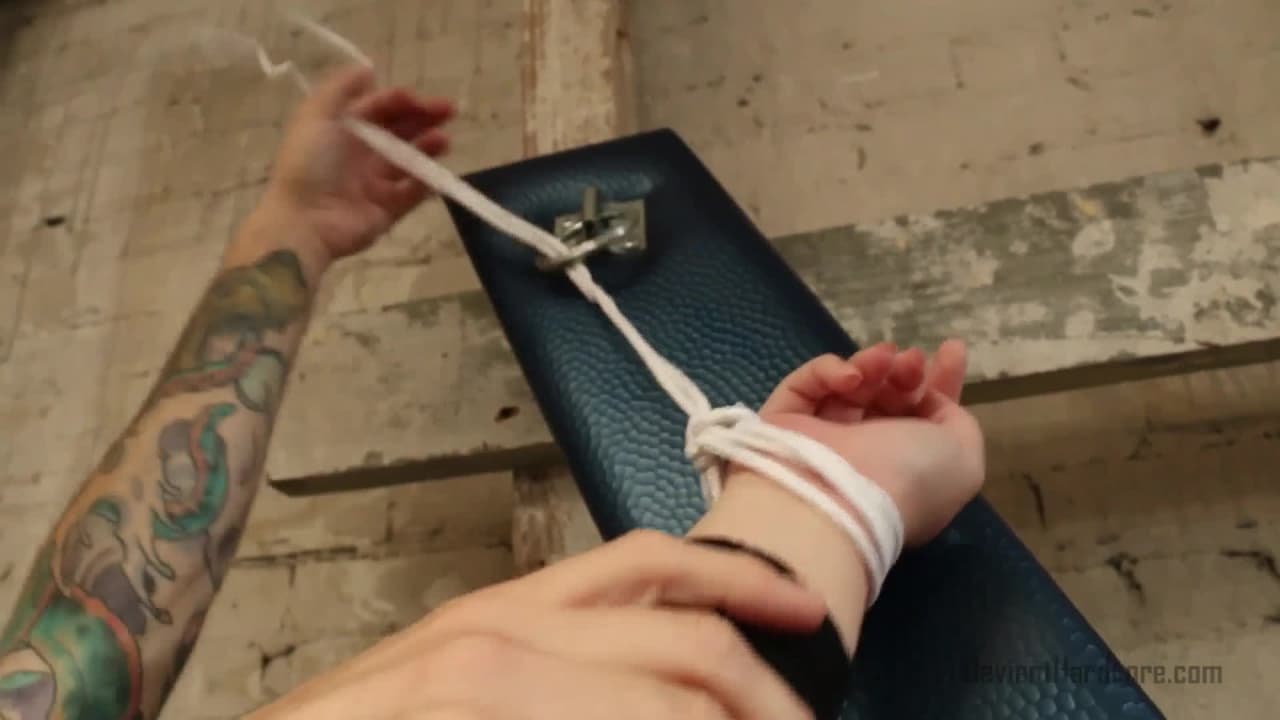 Verifique a sua idade