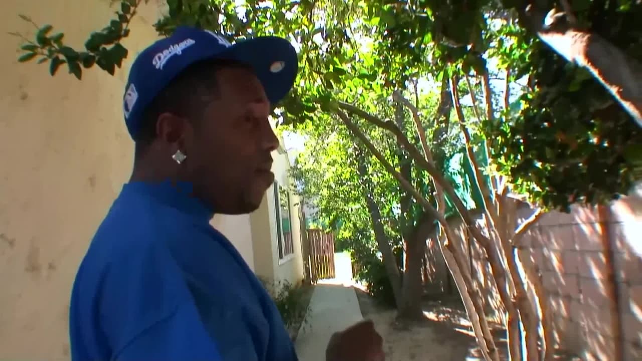 Verifique a sua idade