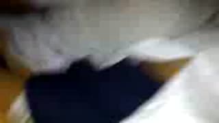 Verifique a sua idade