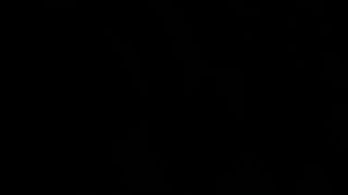 Verifique a sua idade