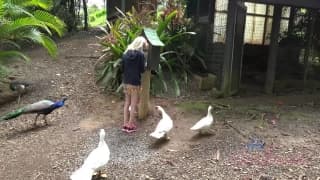 Verifique a sua idade