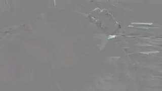 Verifique a sua idade