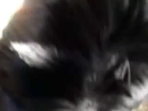 Verifique a sua idade