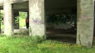 Verifique a sua idade