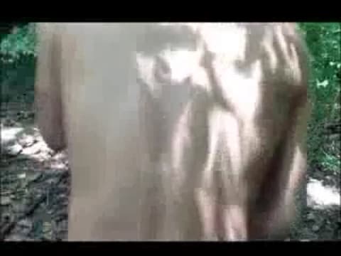 Verifique a sua idade