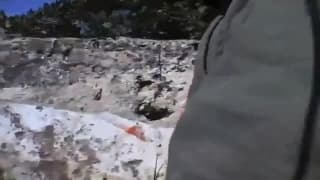 Verifique a sua idade