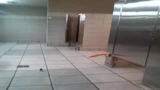 Verifique a sua idade