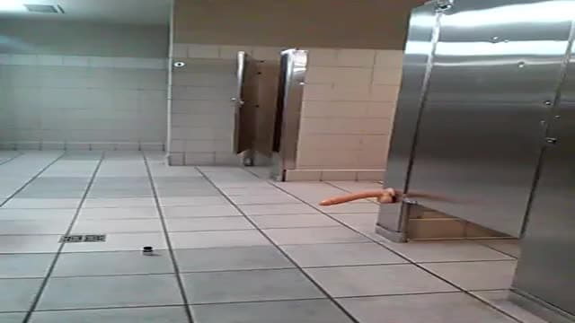 Verifique a sua idade