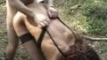 Sexo ao ar livre com uma bela travesti