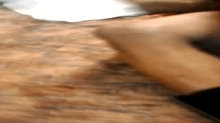 Verifique a sua idade