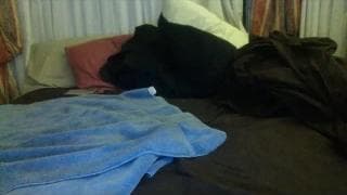 Verifique a sua idade