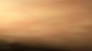 Verifique a sua idade