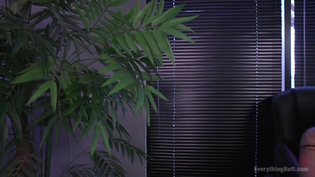 Verifique a sua idade