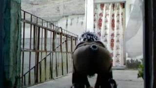 O gay vai para a varanda com seu brinquedo na bunda O gay vai para a varanda com seu brinquedo na bunda