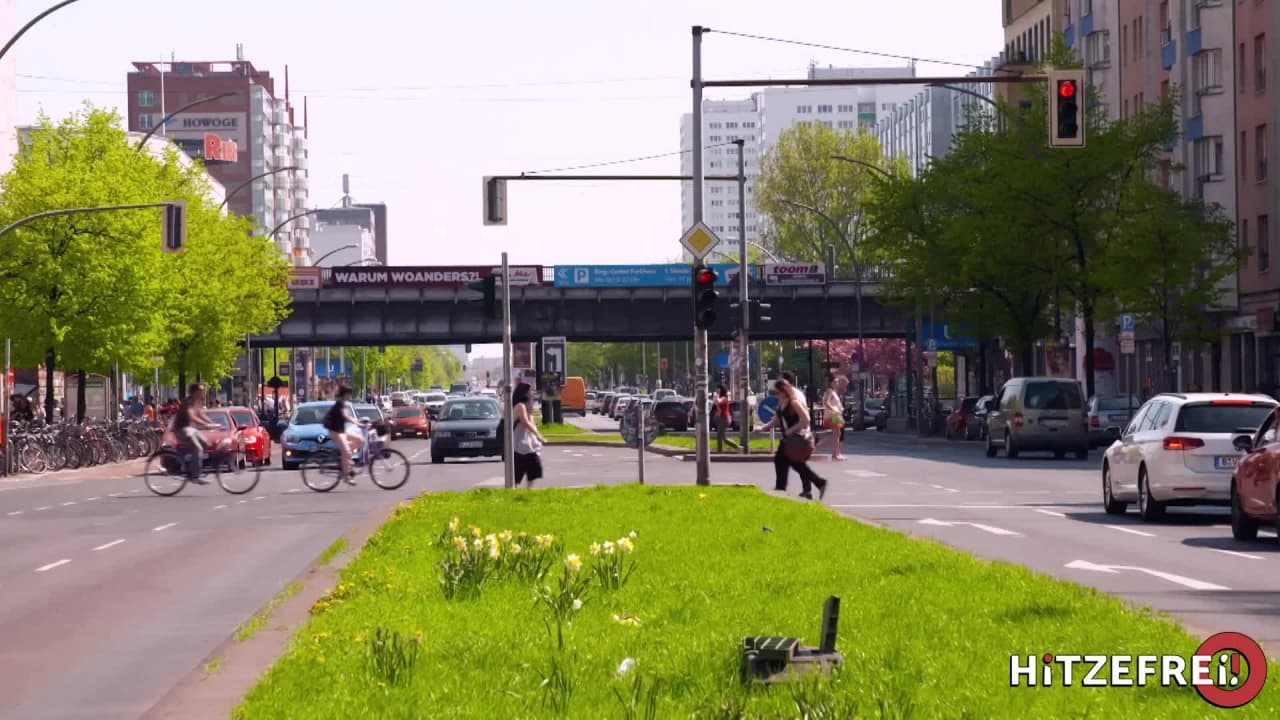 Verifique a sua idade