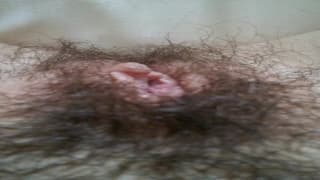A buceta peluda dessa garota de perto A buceta peluda dessa garota de perto