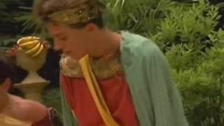 Verifique a sua idade