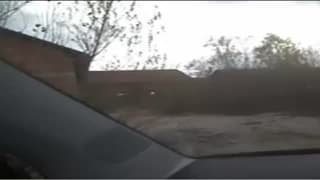 Verifique a sua idade