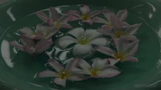 Verifique a sua idade