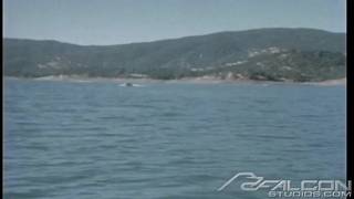 Verifique a sua idade