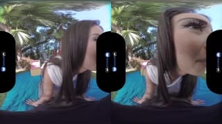 Verifique a sua idade