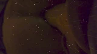 Eu masturbo meu pênis sem muita força Eu masturbo meu pênis sem muita força