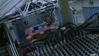 Verifique a sua idade