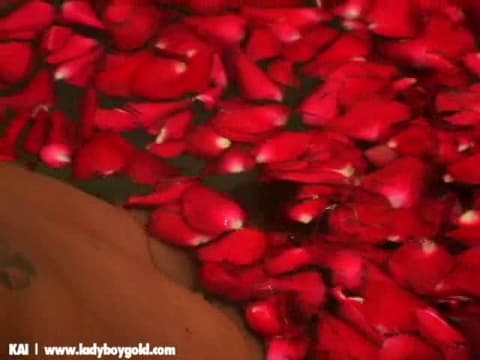 Verifique a sua idade