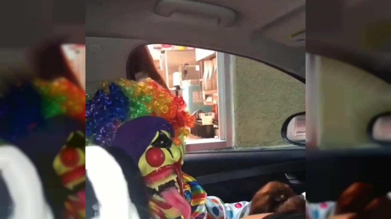 Verifique a sua idade