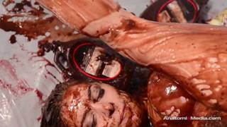 A orgia lésbica é rica em torta de mirtilo! A orgia lésbica é rica em torta de mirtilo!