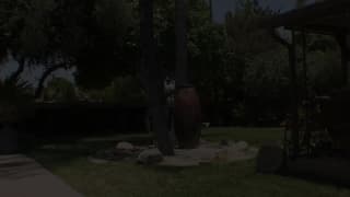 Verifique a sua idade