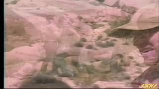 Verifique a sua idade