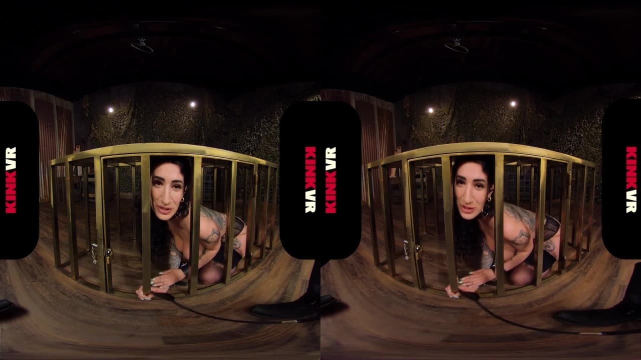 Verifique a sua idade