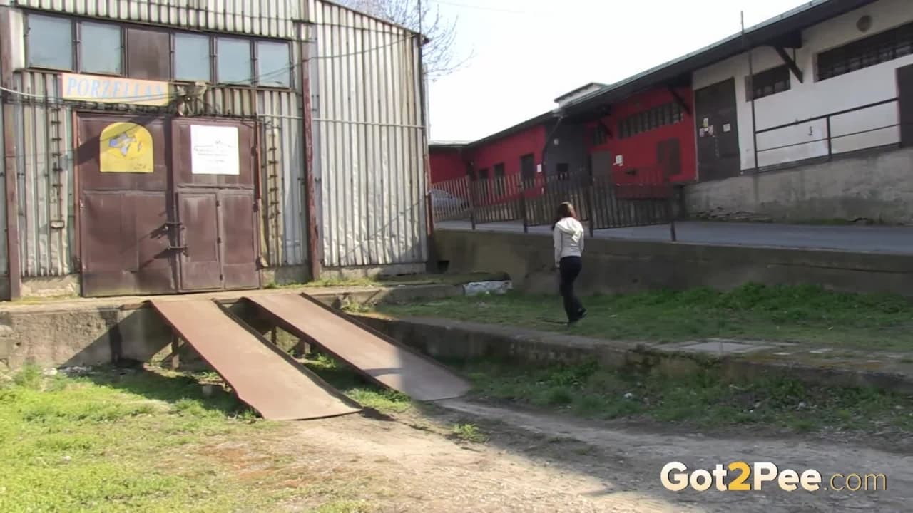 Verifique a sua idade